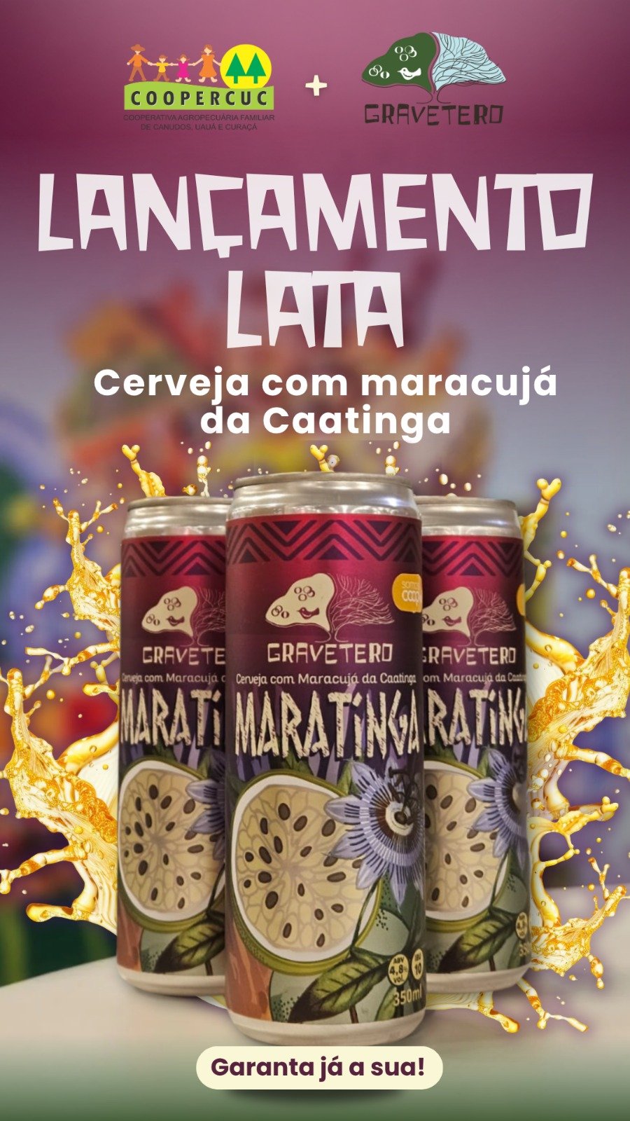 Portfólio Viralli 5